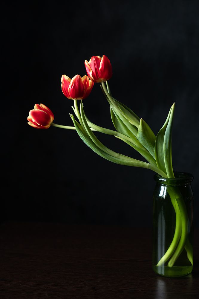 Photograph by Мария Грибкова