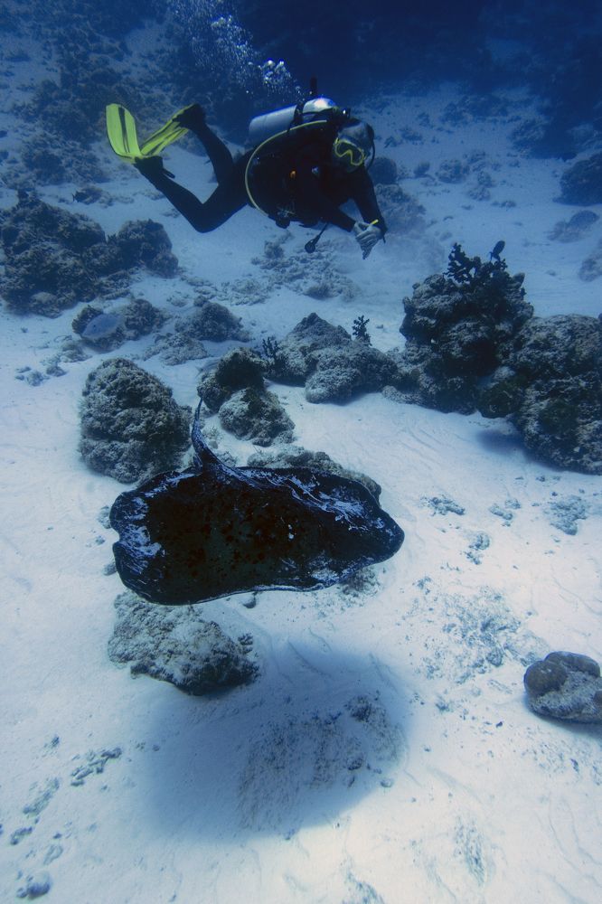 Photograph by Quyen Pham