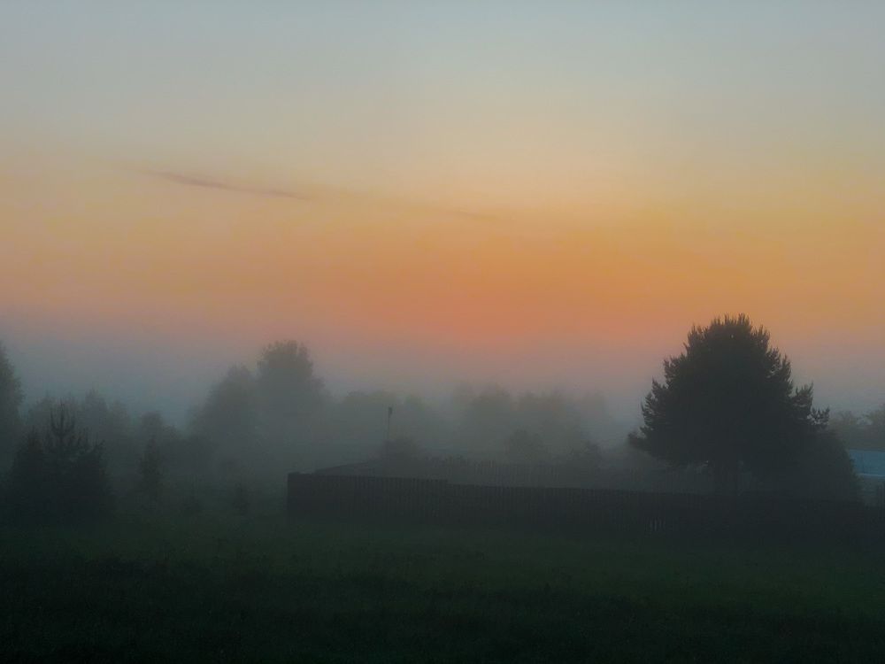 Photograph by Саша Никульникова