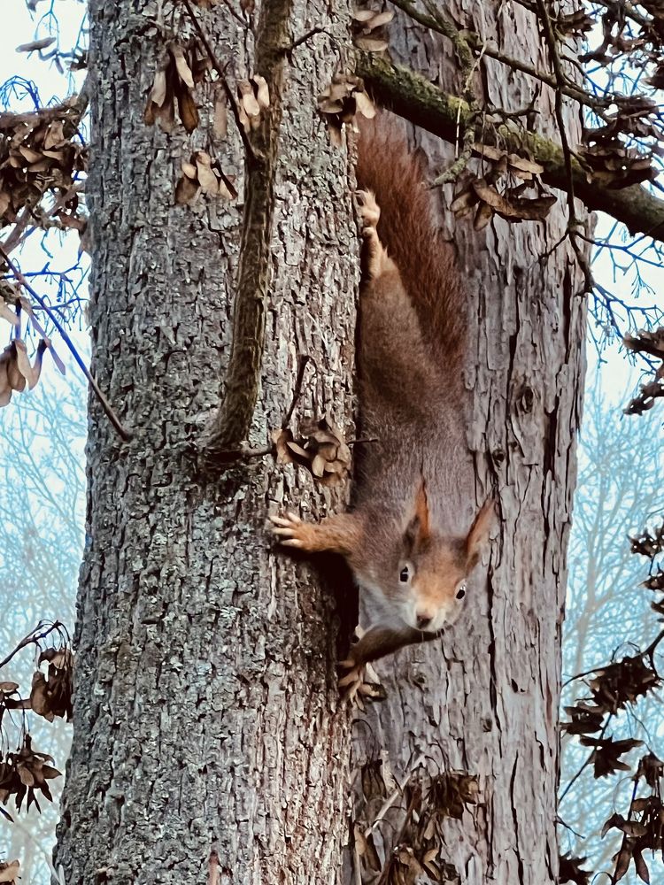 Photograph by Rozaliya Volosevich