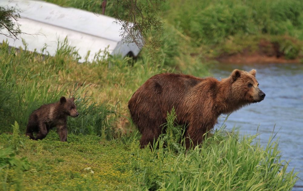 Photograph by Геннадий Антонов
