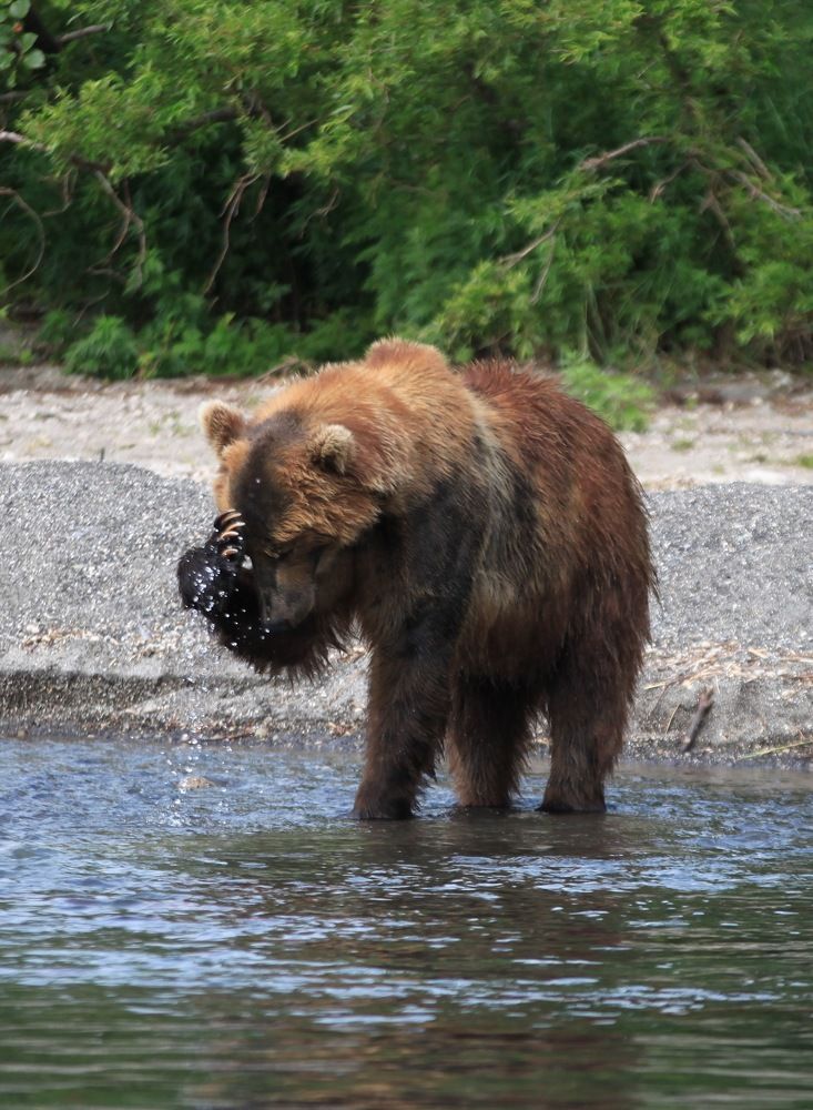 Photograph by Геннадий Антонов