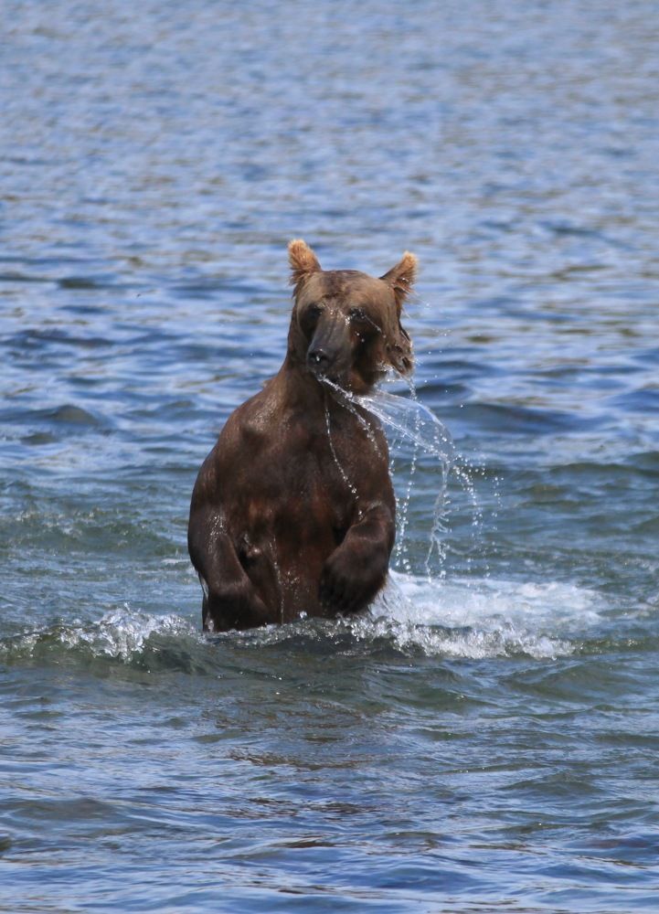 Photograph by Геннадий Антонов