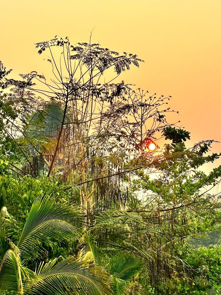 Photograph by Лейсан