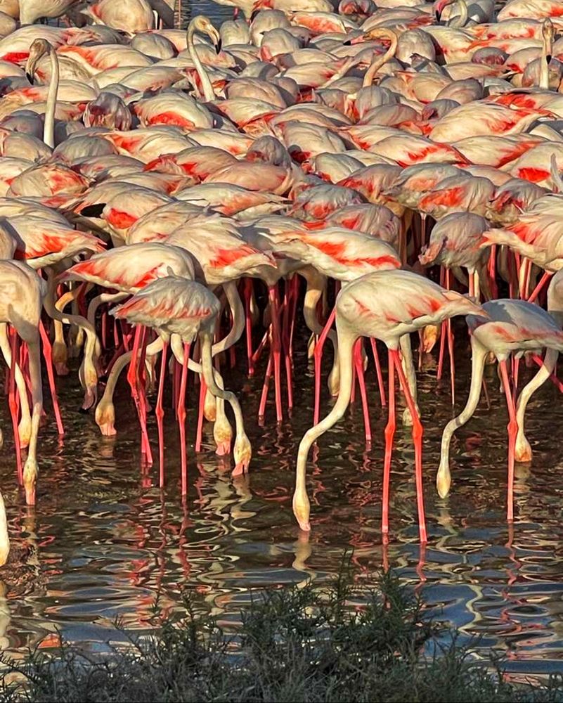 Фотография автора Nazgul Mamylkanova