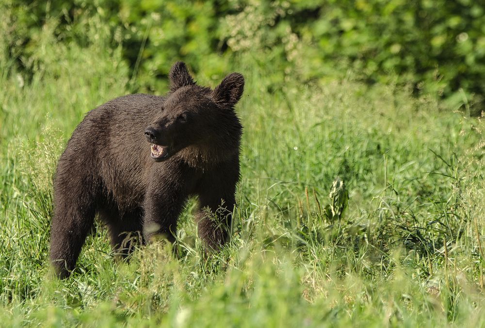 Фотография автора Mariusz Zarzycki