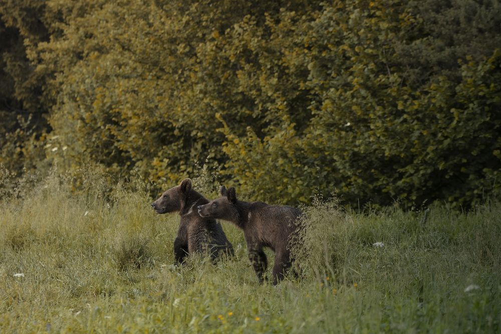 Фотография автора Mariusz Zarzycki