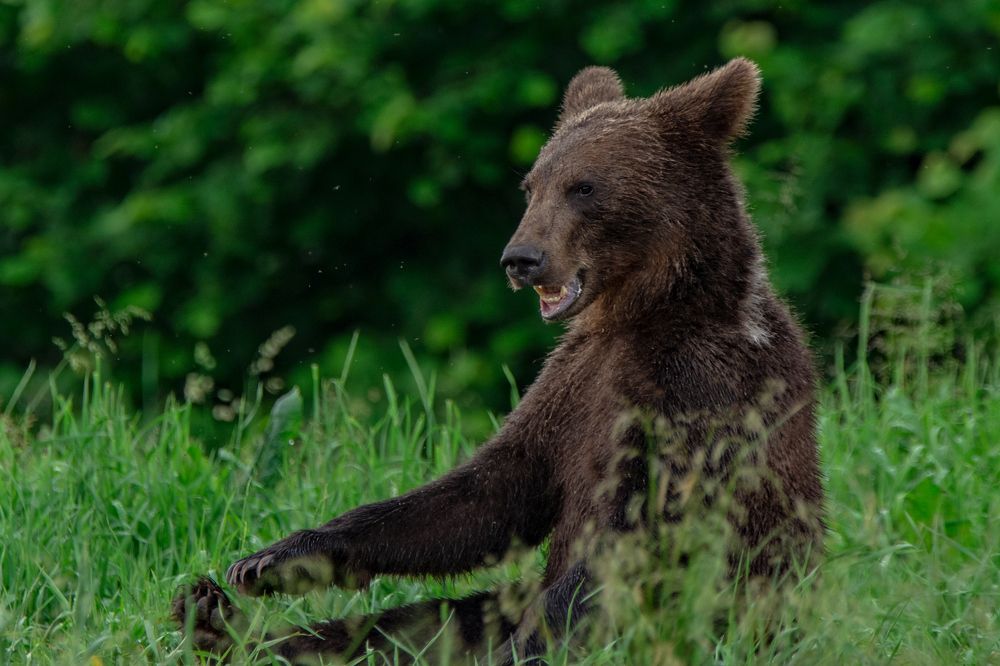 Фотография автора Mariusz Zarzycki