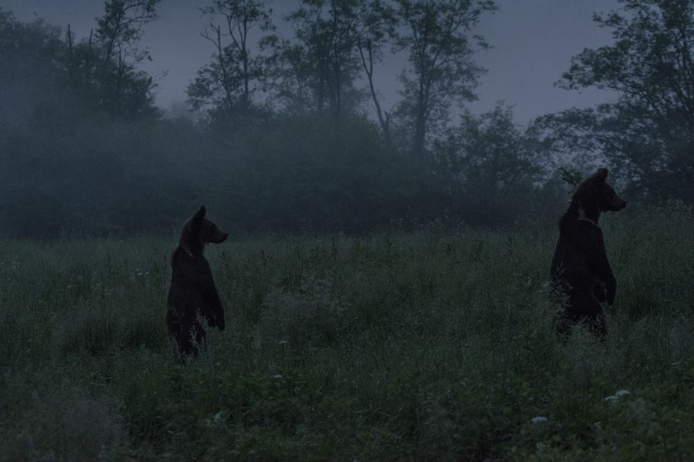 Фотография автора Mariusz Zarzycki