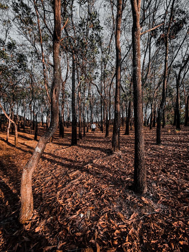 Photograph by Sithara Thenuwara