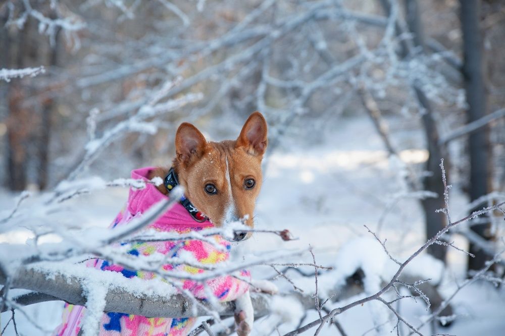 Photograph by Кристина Скрыпникова