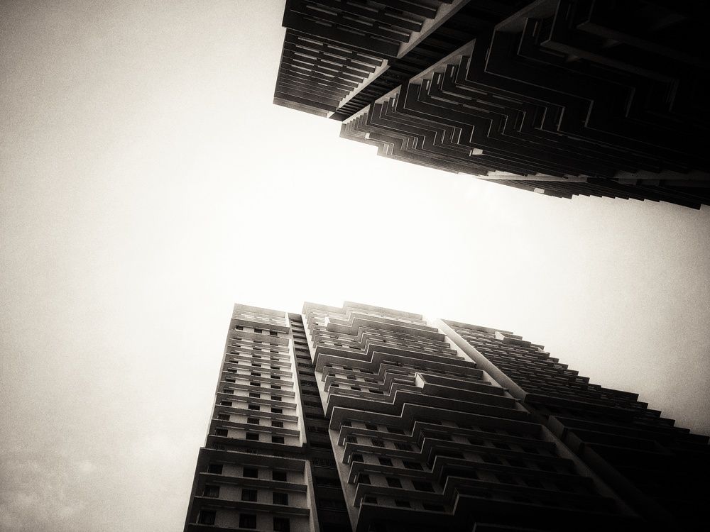 Photo #9007583