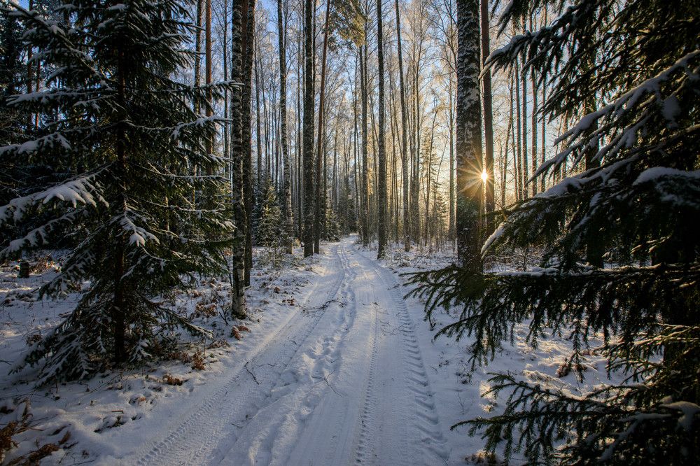 Photograph by Владимир Копков
