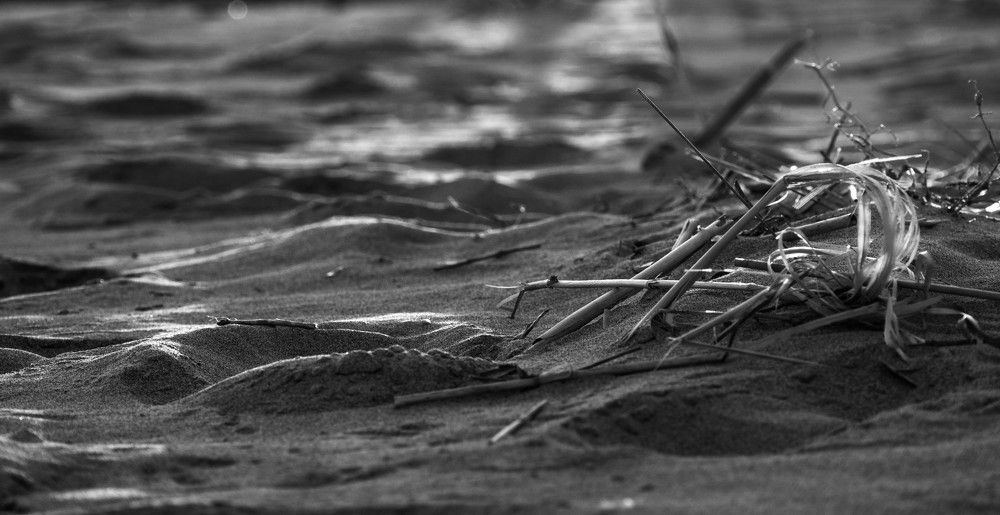 Фотография автора Crespan Terry