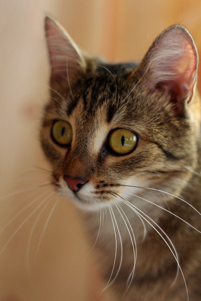 Photograph by Вася Кадочников