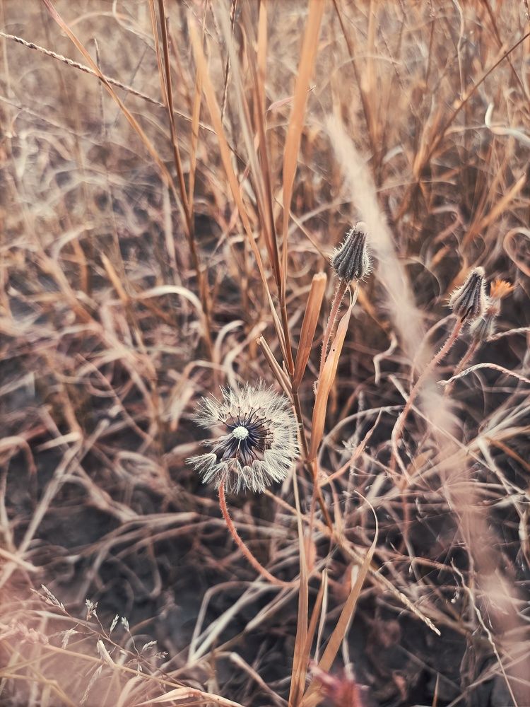 Photo #9007765
