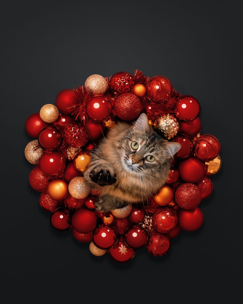 Фотография автора Мазурева Анастасия