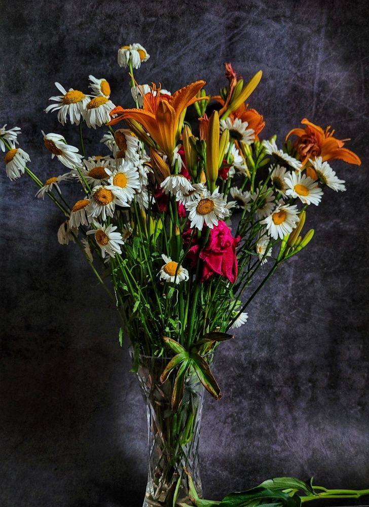 Photograph by Екатерина