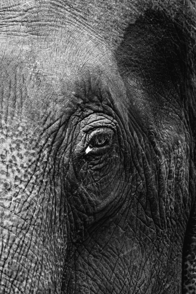 Photograph by Jain Salil