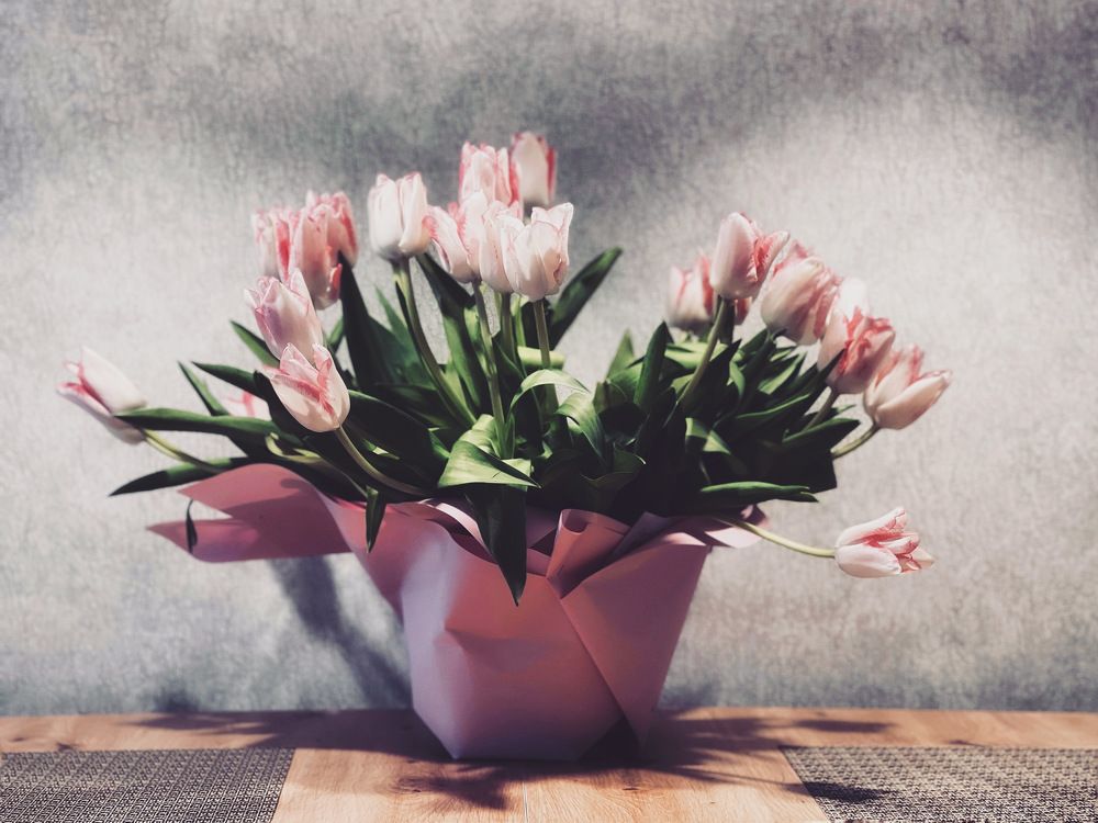 Photograph by Masha Morozova