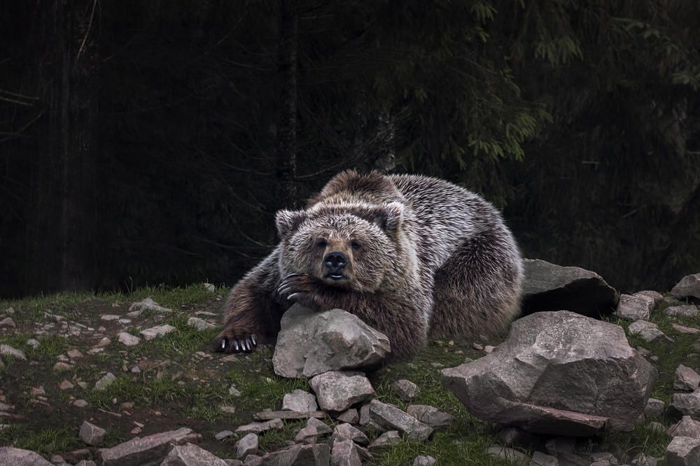 Photograph by Полина Хрол