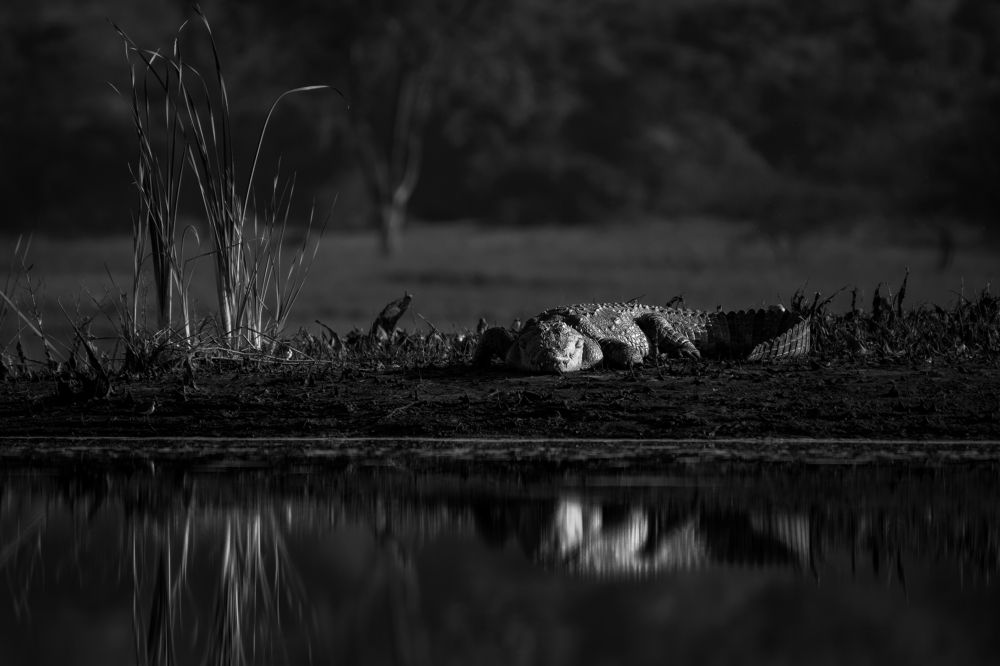 Photograph by Jain Salil