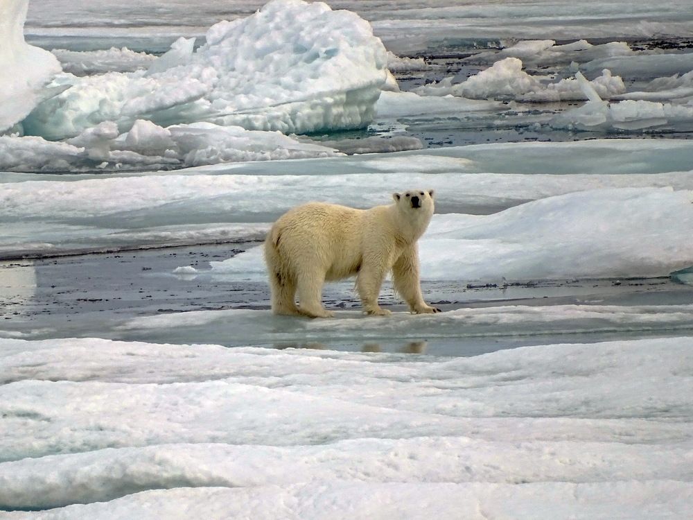 Photograph by Васильев Иван