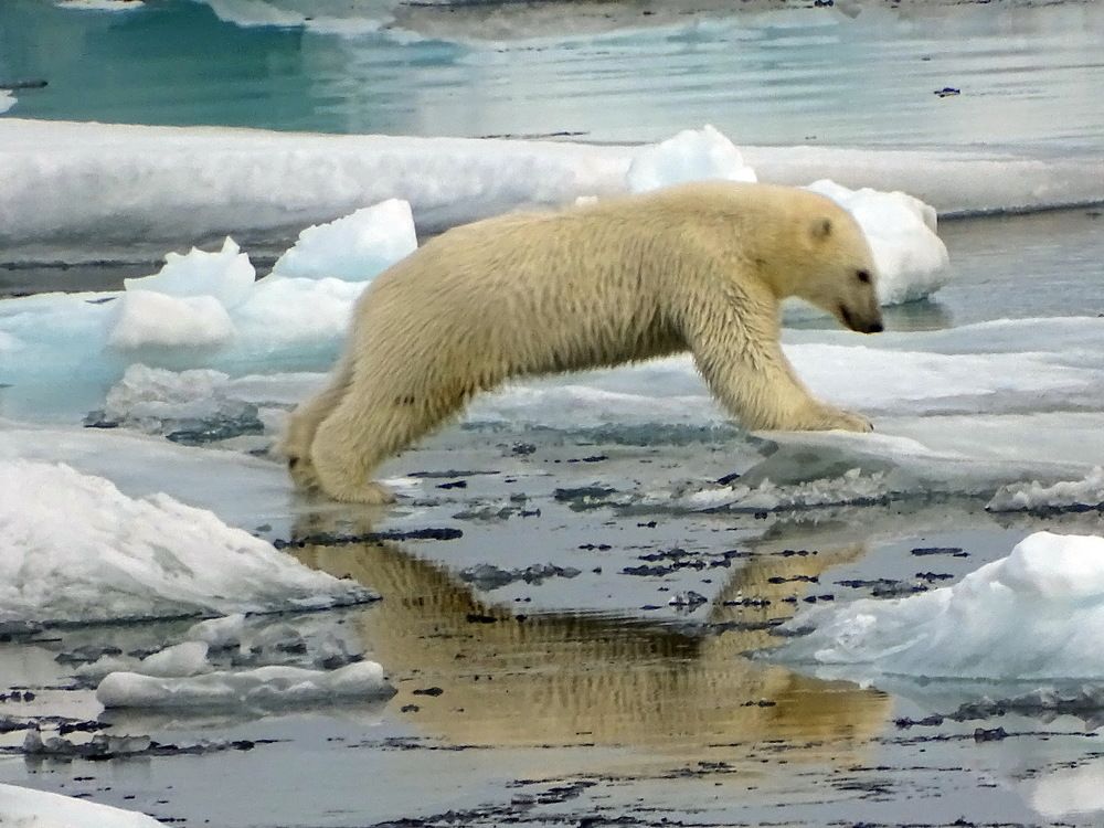 Photograph by Васильев Иван