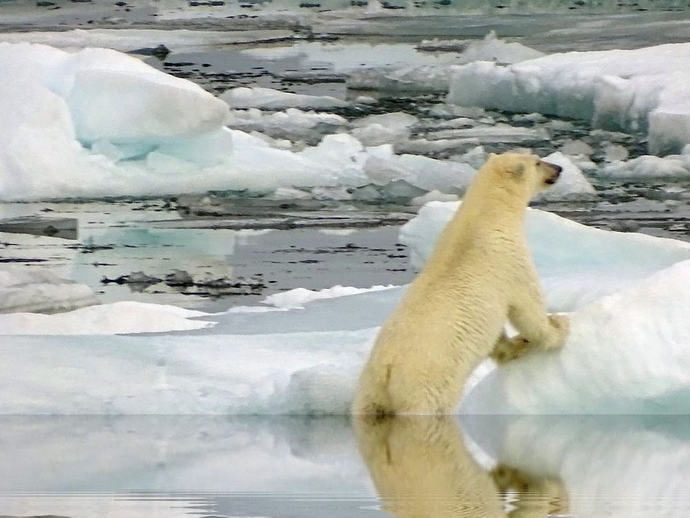 Photograph by Васильев Иван