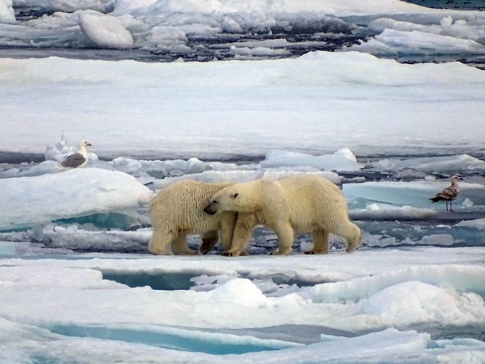 Photograph by Васильев Иван
