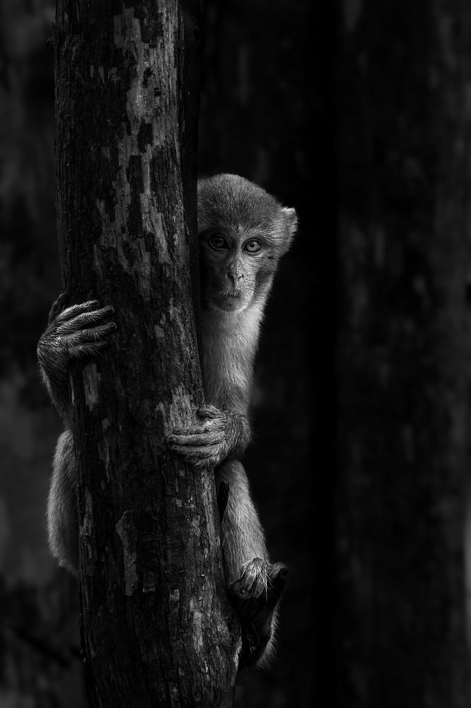 Photograph by Jain Salil