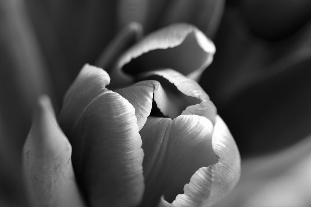 Photograph by Александра