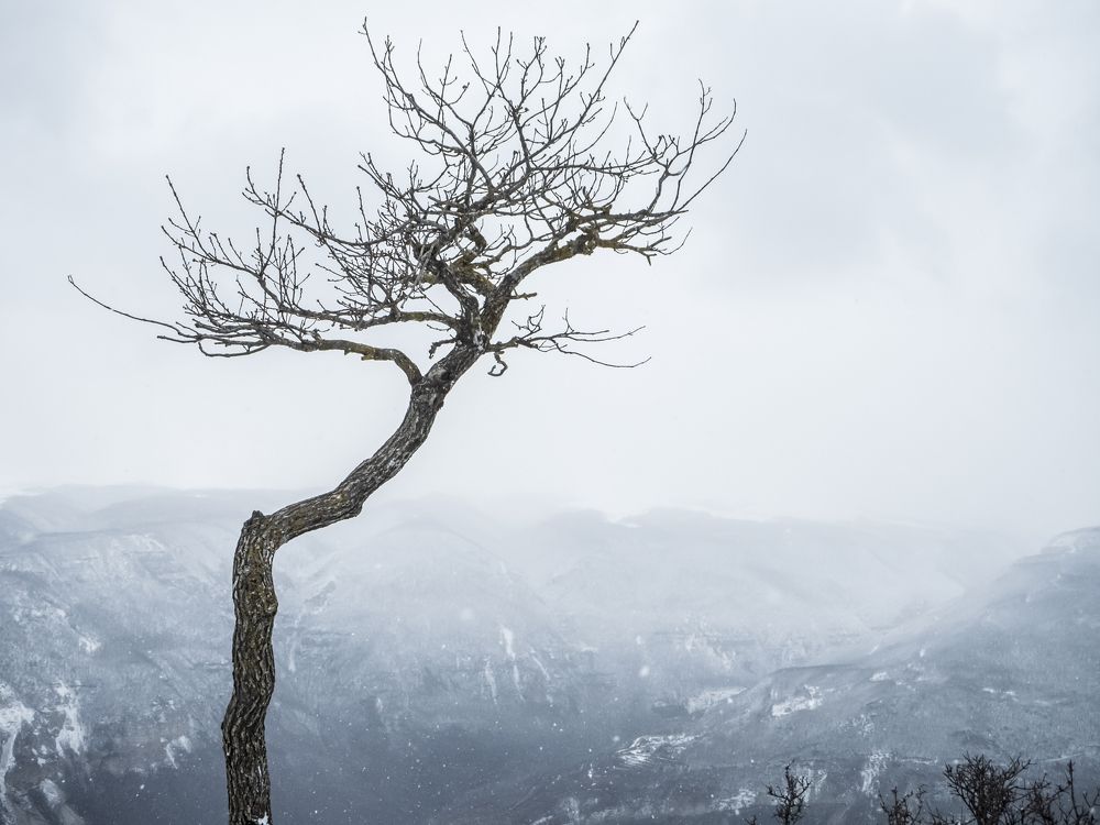 Photograph by Илюшечкина Екатерина