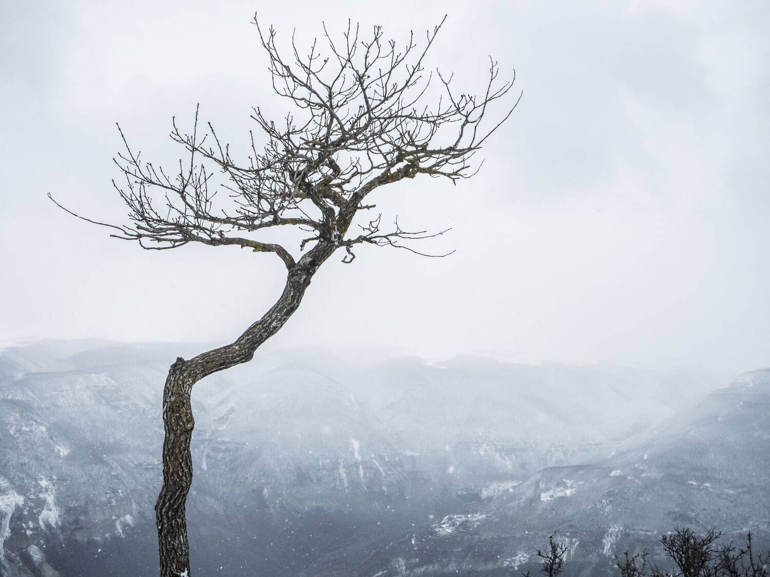 Фотография #9007995