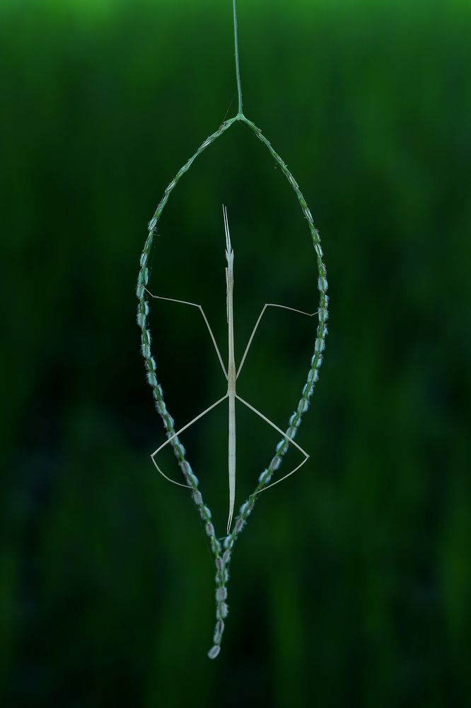 Photograph by Raju Ponaganti