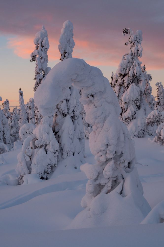 Photograph by Анна Шейко