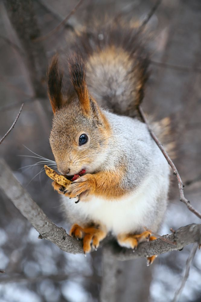Фотография автора Дарина