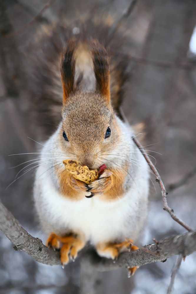 Фотография автора Дарина