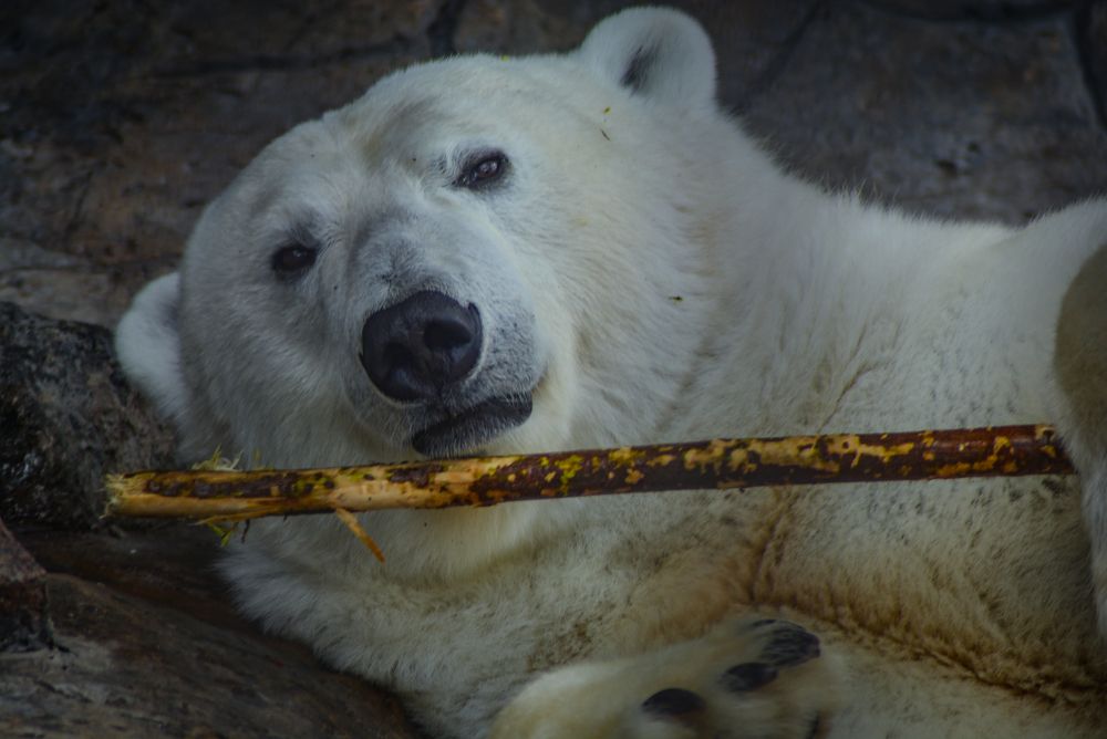 Photograph by Глухарев Сергей