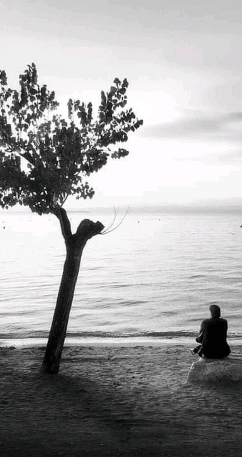 Photo #9008148
