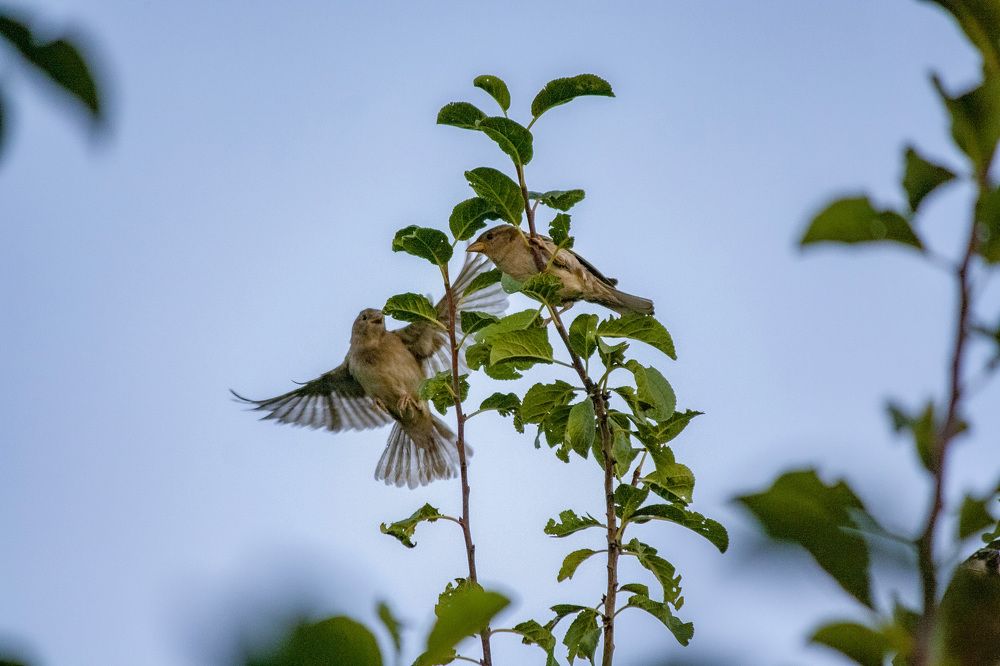 Photograph by Анастасия