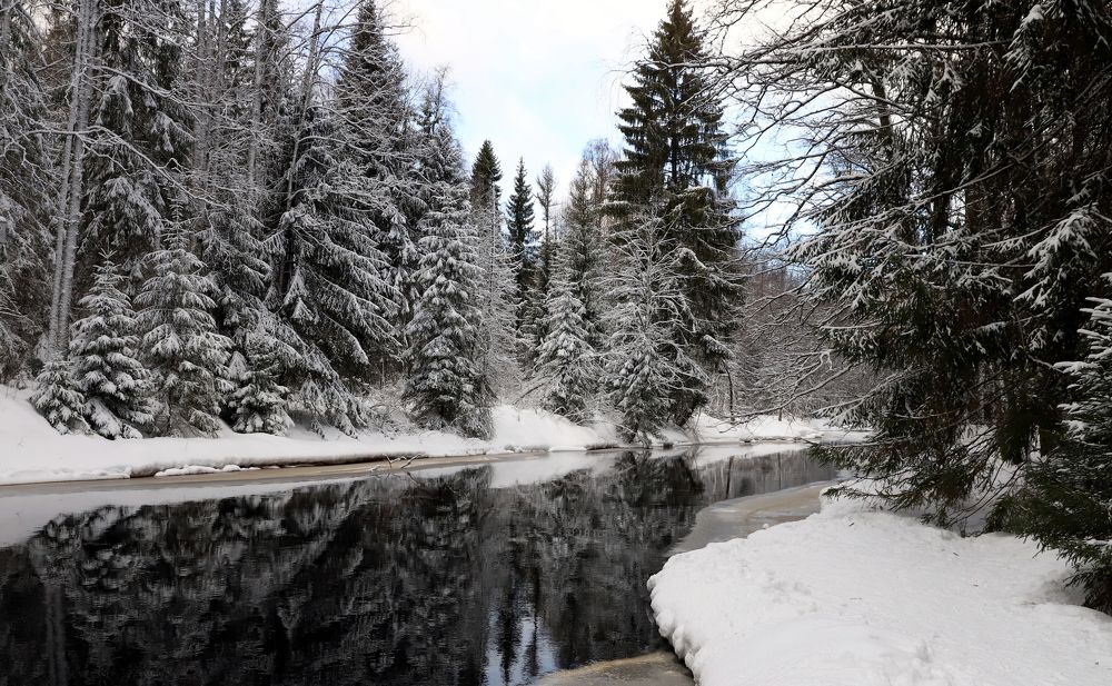 Photograph by елена