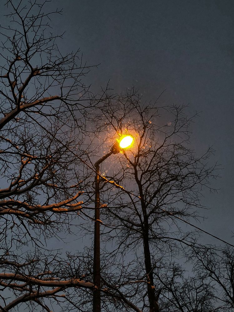 Photograph by Анастасия Бурая