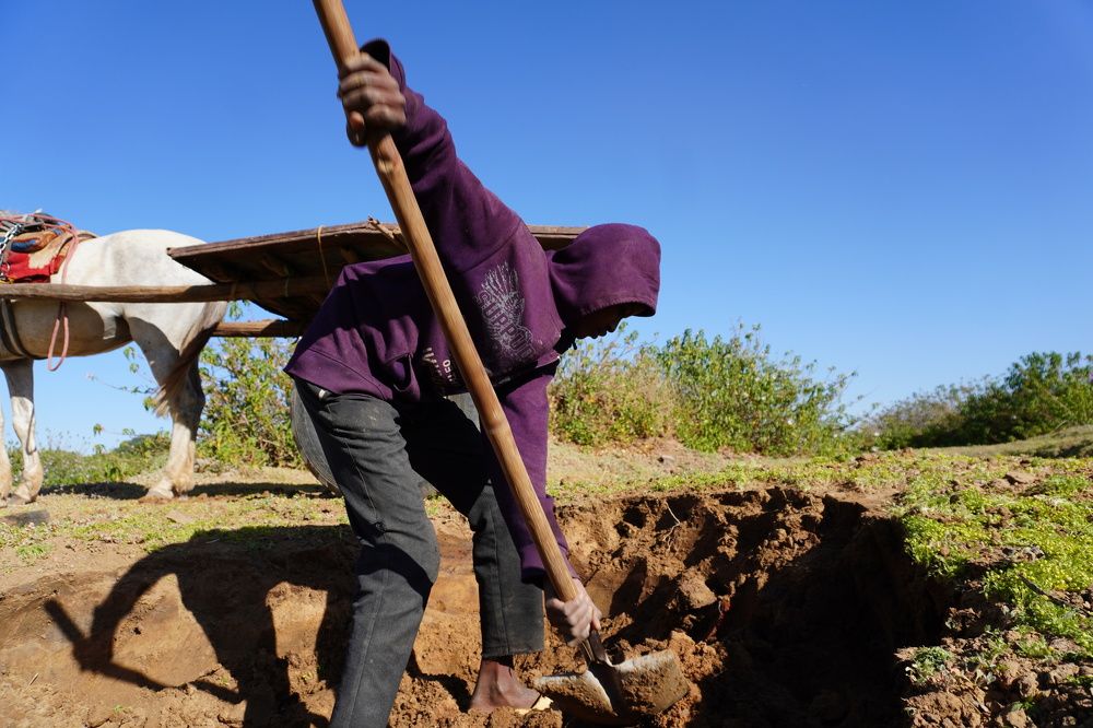 Photograph by Elnour Naier