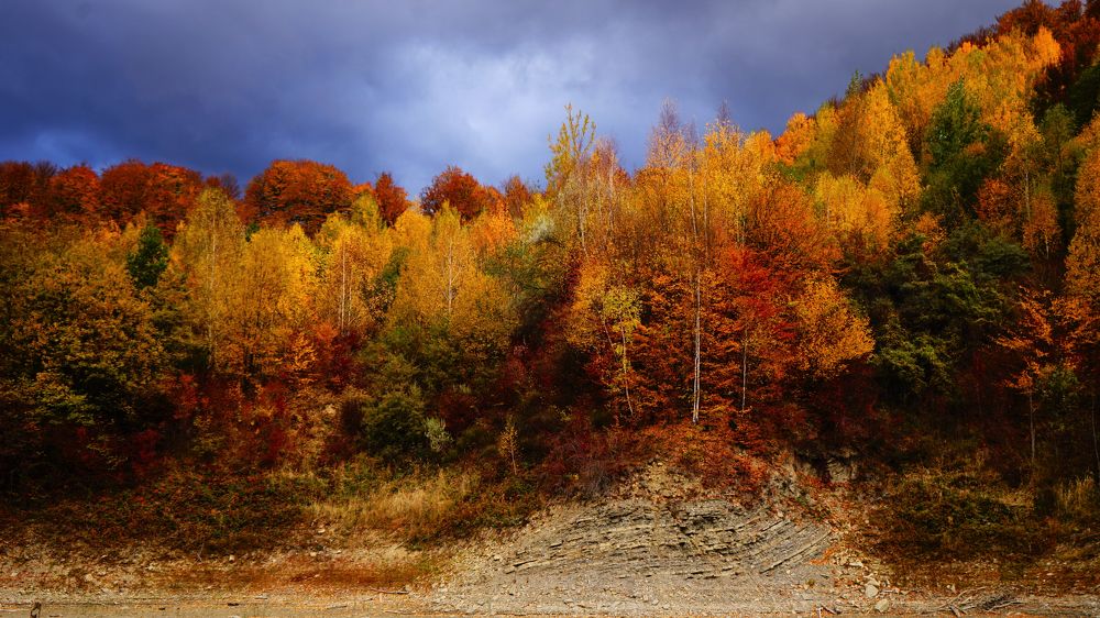 Photograph by Mirela Velicu