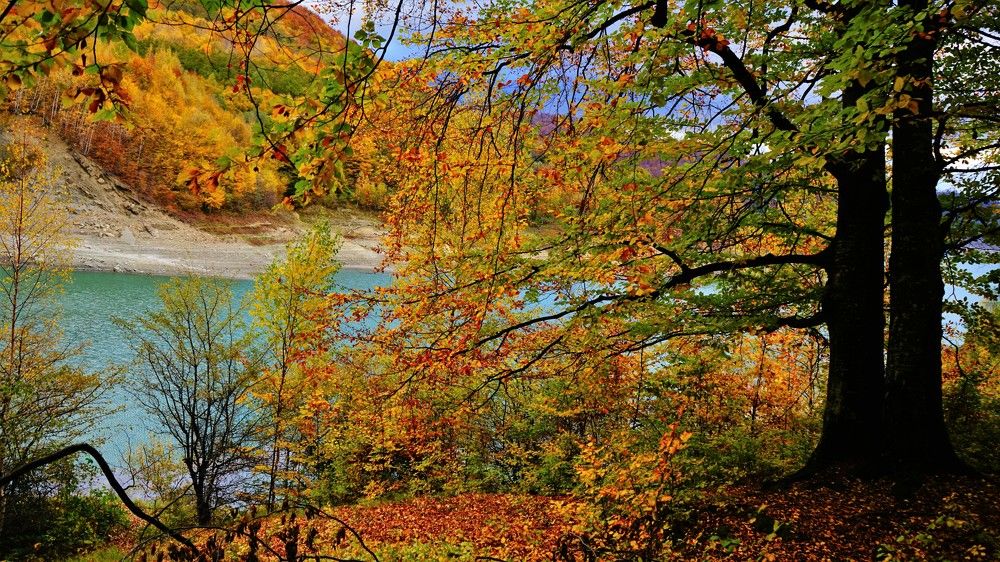 Photograph by Mirela Velicu