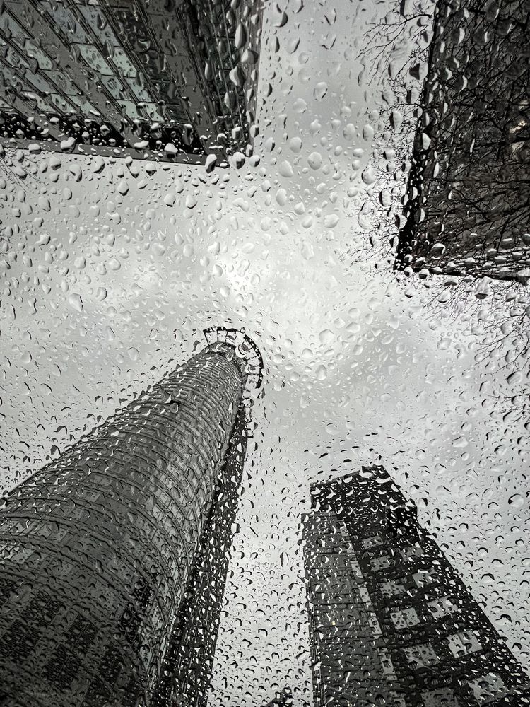 Photograph by Marina Zaporozhan-Potemkina