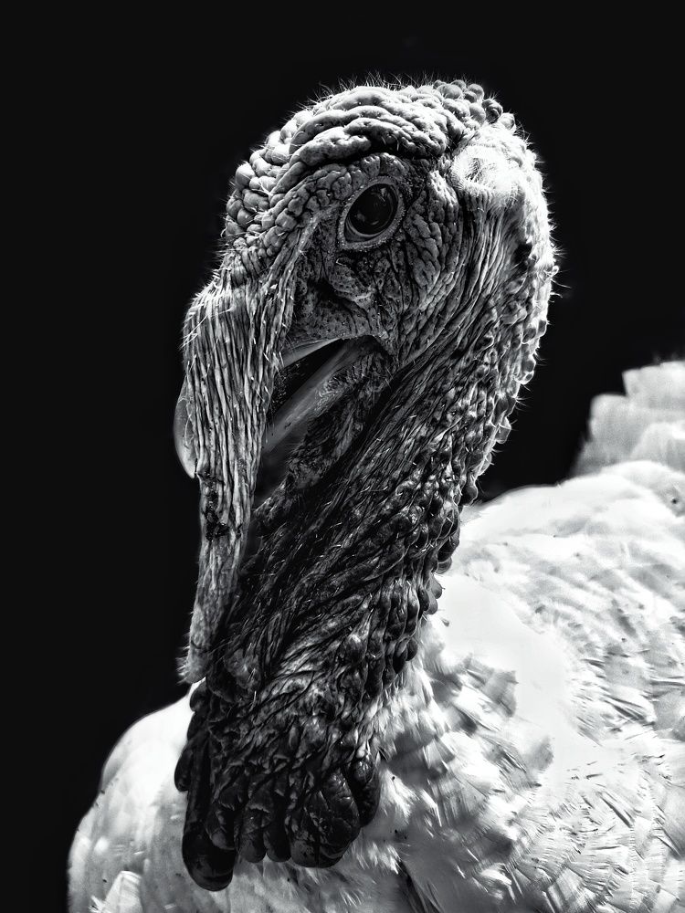 Фотография автора Ilyes Benaissa