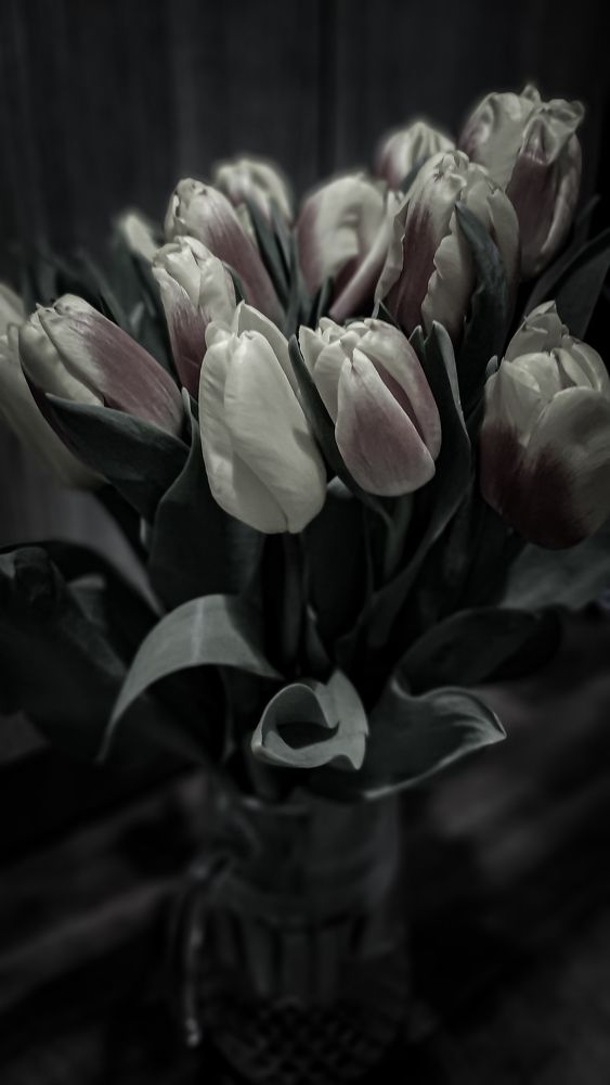 Photograph by Ольга Глухарёва