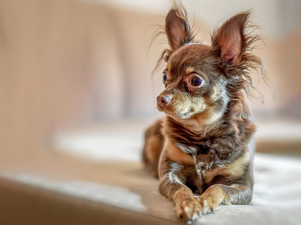 Photograph by Denis Polushin